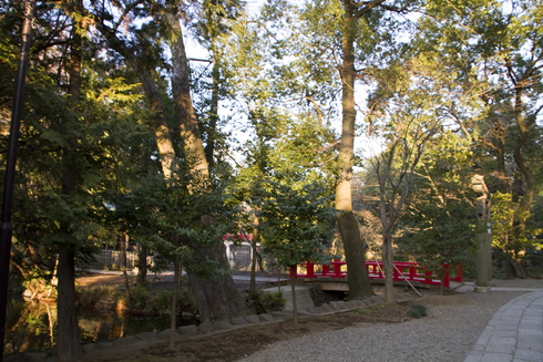 大宮散策...4...氷川神社_a0229634_14325825.jpg