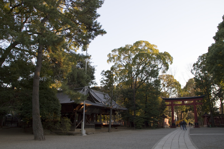 大宮散策...4...氷川神社_a0229634_1434554.jpg