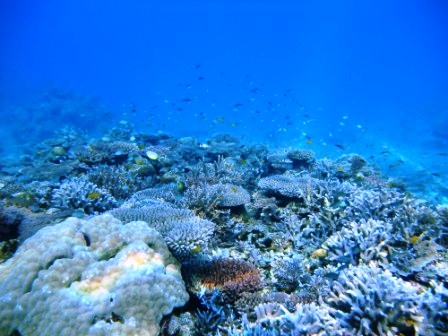 オニ退治ＤＡＹ１２_a0189838_13464468.jpg