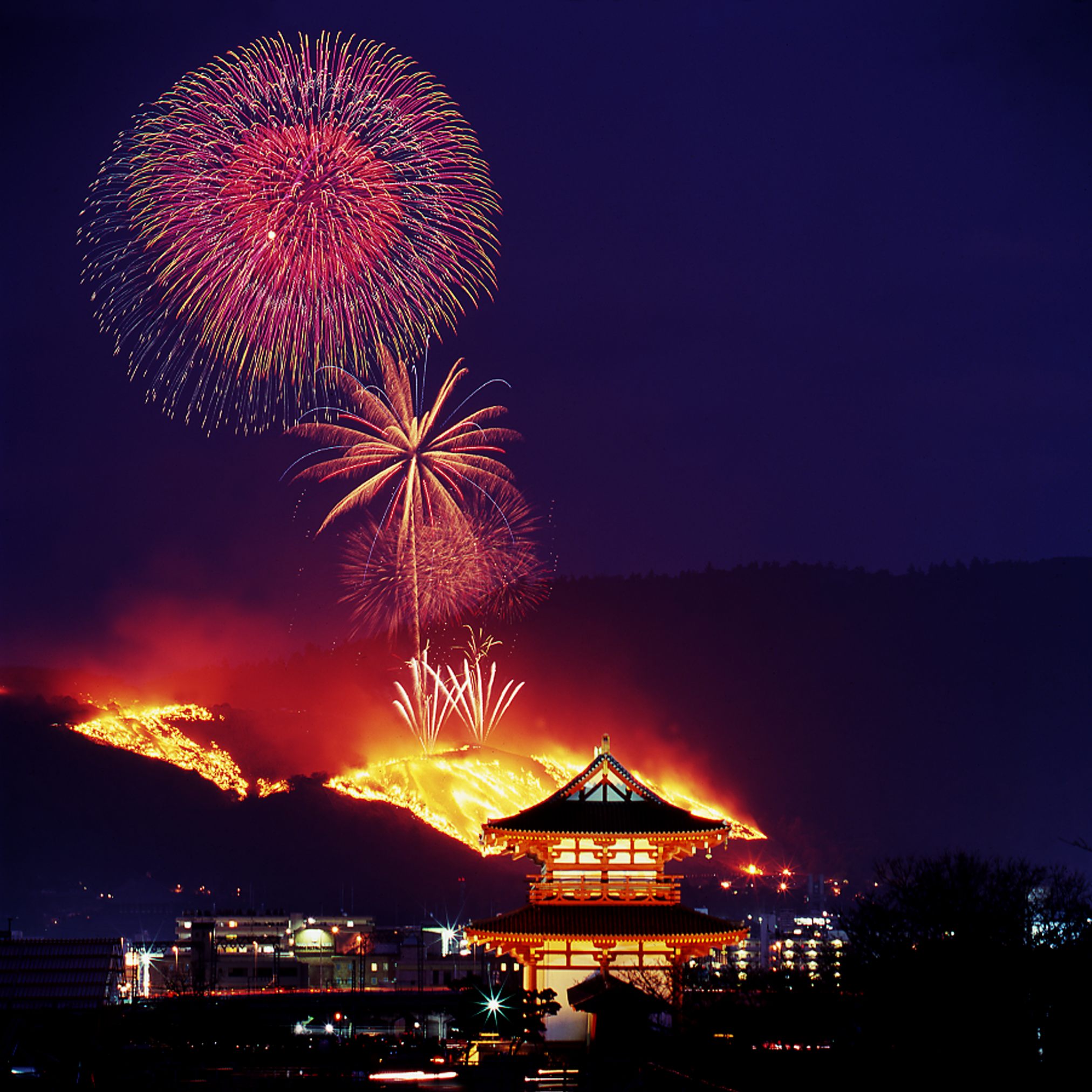 風景　若草山焼き①_a0287347_10544420.jpg