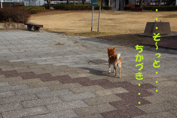 f0245650_952293.jpg