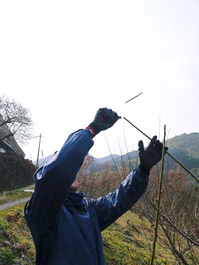 山あいの南高梅 今年も最高の南高梅を育てるために!冬の剪定 その2_a0254656_17513997.jpg