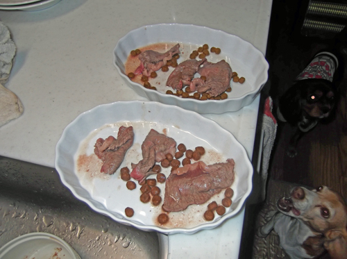 b0045357_827355.jpg