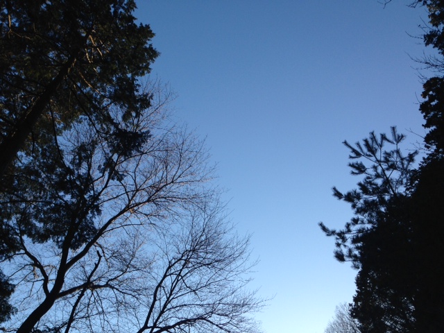 c0115560_10433665.jpg