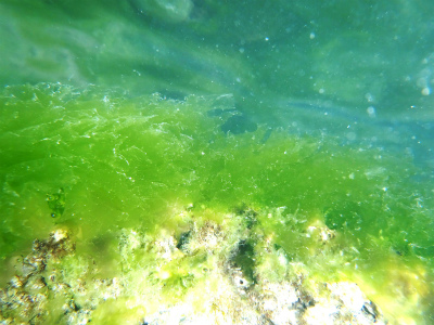 c0180460_11967.jpg