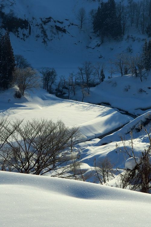 棚田〜雪山_a0025576_844431.jpg