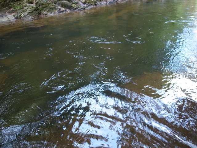 Air Terjun kanpong Poring【AZ0114-4】_a0067578_010278.jpg