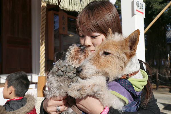 犬の痴呆。_c0245679_2226564.jpg
