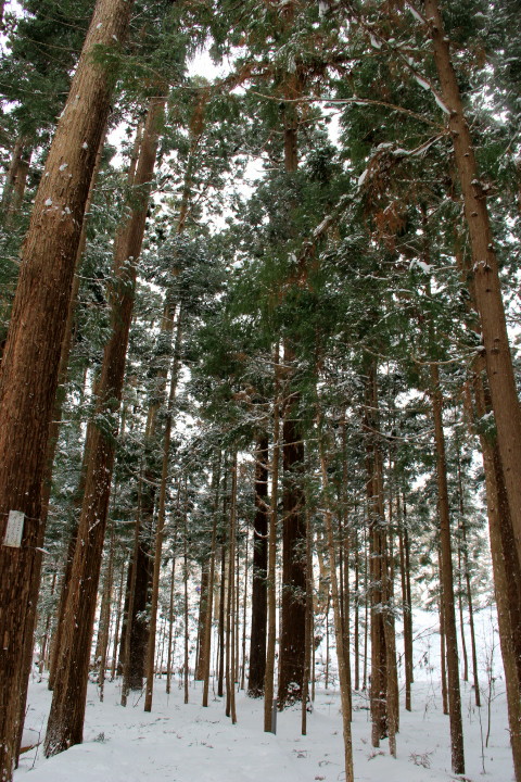 e0068480_19462333.jpg