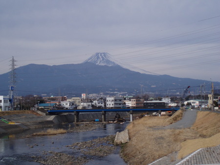 東海道ウオーク　７回目（三島宿～沼津宿～原宿～吉原宿～蒲原宿）_b0108282_16363076.jpg