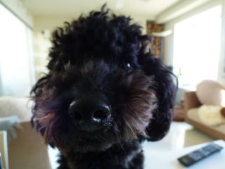 2014年1月30日 光より早い?_b0098584_9351013.jpg