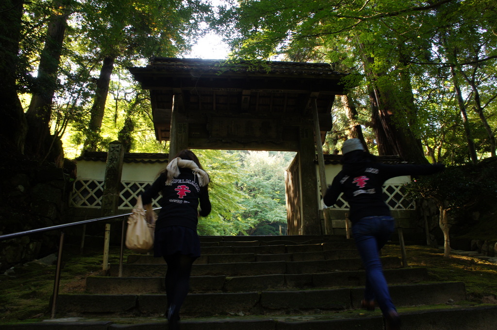 10/27 津和野町永明寺でのアンペルマン室内楽_c0180686_08450768.jpg