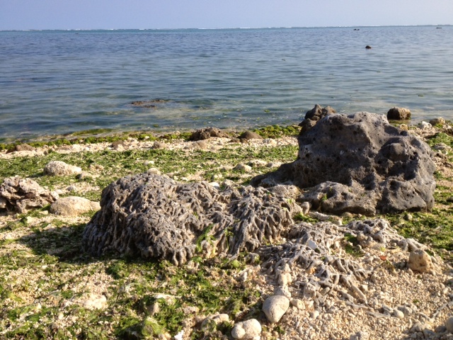 c0064389_17164837.jpg