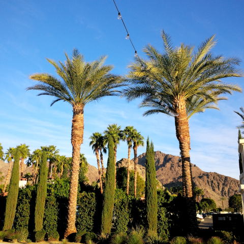 c0090198_3264363.jpg
