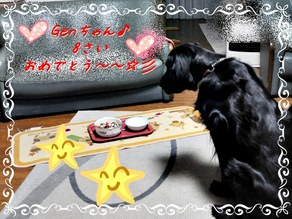 ❉❉8歳になりました❉❉_f0176499_311154.jpg