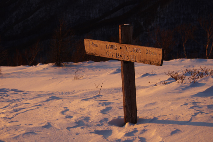 c0110112_03366.jpg