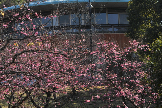 f0184314_19572211.jpg