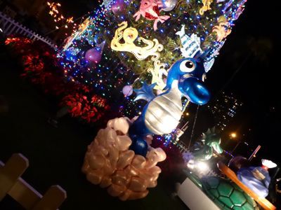d0285416_19531394.jpg