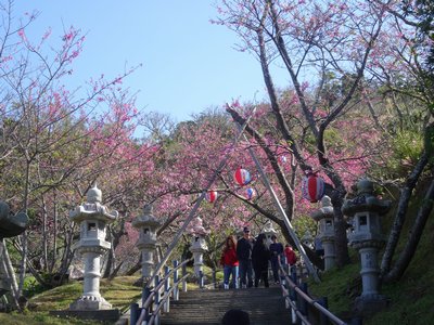f0178416_17374344.jpg