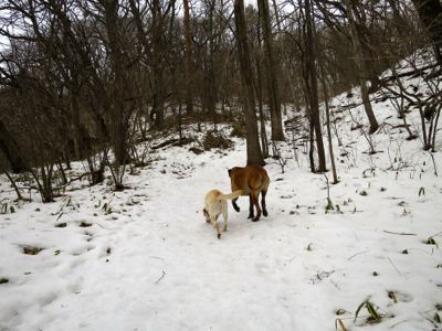 e0192217_8221131.jpg