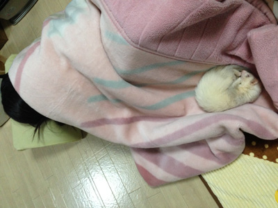 c0227720_1754520.jpg
