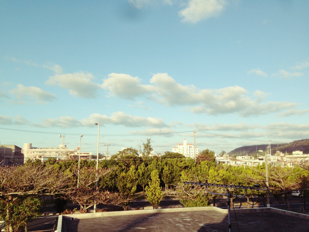 d0150020_1232648.jpg