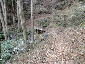 f0232920_10135974.gif