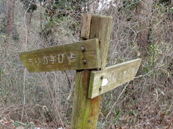 f0232920_1013794.gif