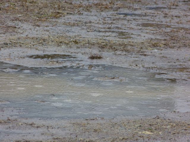a0188023_73548.jpg