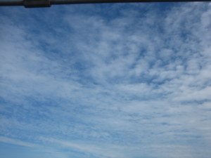 d0149223_23504261.jpg