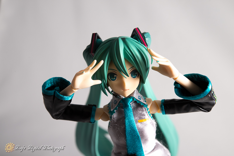 REAL ACTION HEROES 初音ミク -Project DIVA- F_a0200830_16521911.jpg