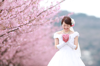満開の桜と菜の花の結婚式前撮り写真☆人気ロケーションフォト_a0174233_128474.jpg