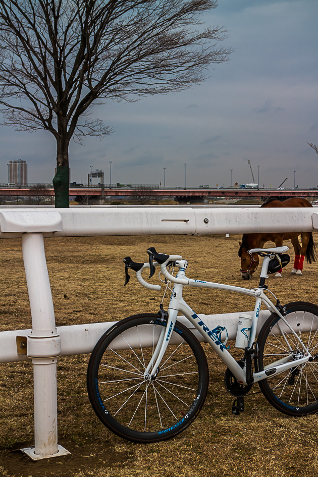 ふらっと葛西臨海公園へ_b0295234_0325124.jpg