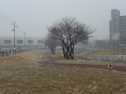 b0169238_2192387.jpg