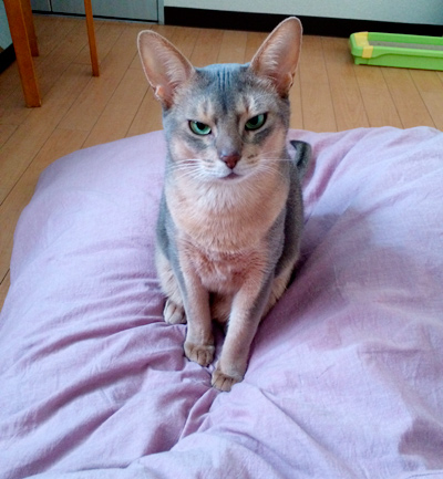 f0209740_1034255.jpg