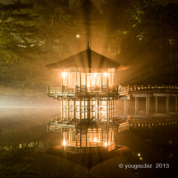 夜の浮見堂 A night view of UKIMIDO in the nara park._e0245846_10315863.jpg