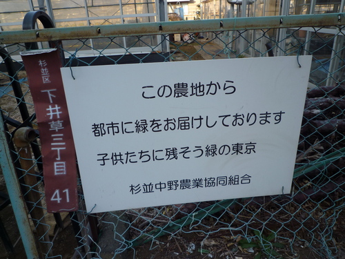 生産緑地地区_b0246953_1874124.jpg