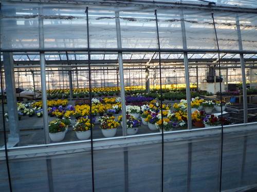 生産緑地地区_b0246953_1882860.jpg