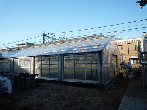 生産緑地地区_b0246953_188576.jpg