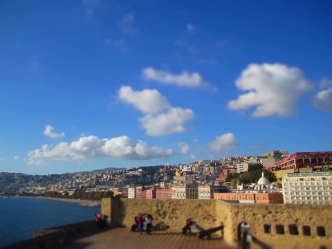 d0158258_10055.jpg