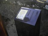 d0045362_13504.jpg