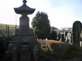 d0045362_1352729.jpg