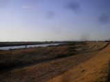 d0045362_1355925.jpg