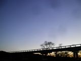 d0045362_3231076.jpg