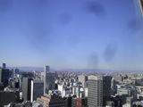 d0045362_356062.jpg