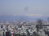 d0045362_35723.jpg