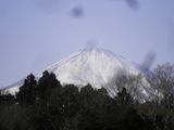d0045362_4234563.jpg
