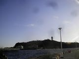 d0045362_4483898.jpg