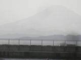 d0045362_4484797.jpg