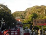 d0045362_59849.jpg